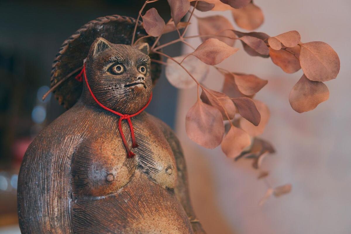 宿たぬきのねどこ Guesthouse Tanuki Tokoname Buitenkant foto